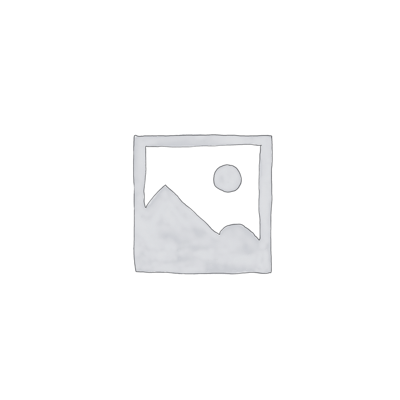 Clinician – Licensed